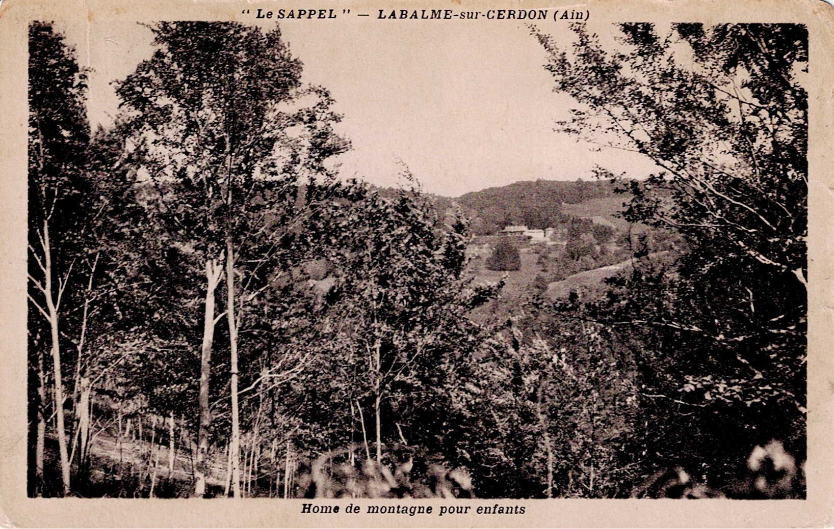 La forêt du Sappel ou Sappey, près de Labalme-sur-Cerdon - © Collection privée Arnaud Balandras